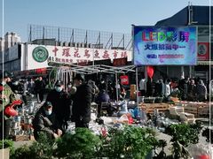 -中环花鸟鱼虫市场