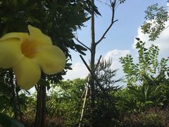 -厦门艾美酒店·新食谱西餐厅