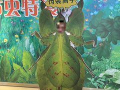 -上海昆虫博物馆