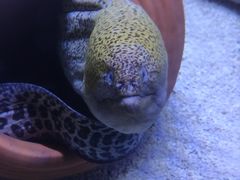 -江和美海洋公园