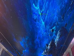 -八一路好吃街(雨田商务大厦店)