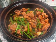 沙姜嗜鸡-煲煲好(朝阳门店)