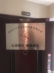 -蚂蚁婚车