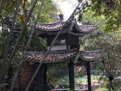 -广州市白云山风景名胜区