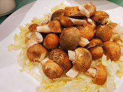 -鲜螺湾(鹏欣丽都店)