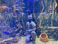 -华夏文旅海洋公园