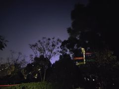 -飞凤山奥体公园