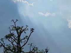 -番禺大夫山森林公园