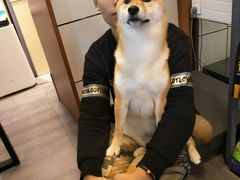 -PETKIT小佩宠物(古北店)