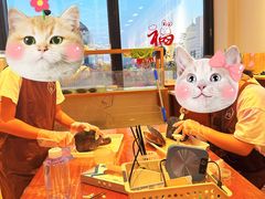-十八字金银饰·拼豆·开蚌手工体验团建(君太百货店)