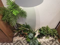 -霸王茶姬(正佳广场店)