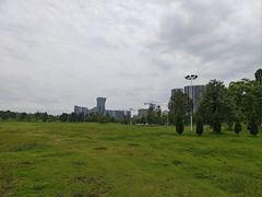 -桂溪生态公园