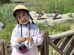 -青岛海滨风景区