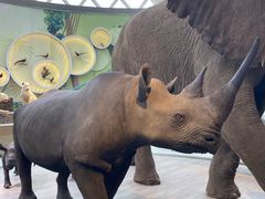 -陕西自然博物馆