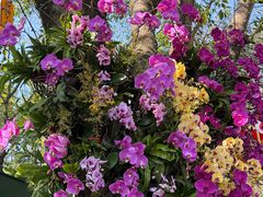 -白云山索道-售票处