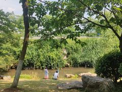 -羊山湖公园