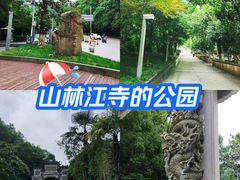 -云碧峰国家森林公园
