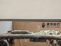 -青藏高原野生动物园