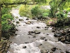 -广州市石门国家森林公园