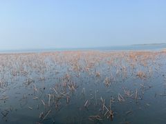 -重元寺香积厨素斋馆