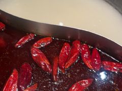 -麻田会 ·鲜活现烹·牛蛙火锅(珠江新城维家思广场店)