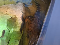 -沙沙哗啦海洋馆(华宇百花谷店)