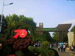 -溱湖国家湿地公园