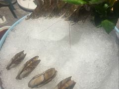 -1718海鲜姿造(苏宁宴请臻选店)