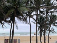 -东海岛旅游度假区