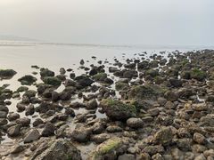 -青岛第一海水浴场