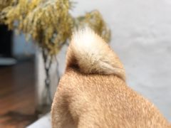 -About Bistro關於·泰式家庭料理