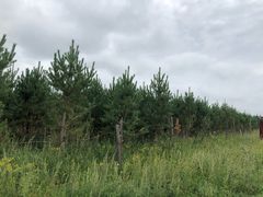 -塞罕坝国家级自然保护区