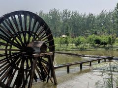 -合肥滨湖国家森林公园