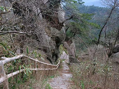 -妙道山国家森林公园