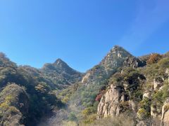-大岭沟猕猴桃谷风景区