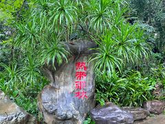 -中国科学院西双版纳热带植物园