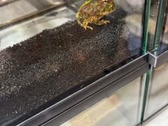 -宠物世家(仲盛世界商城店)