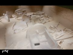 -洛阳周王城天子驾六博物馆