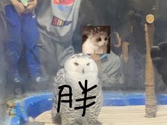 -成都浩海立方海洋公园