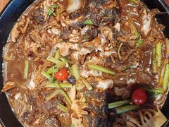 -老板恋上鱼(恒隆广场店)