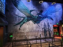 -奥兰多迪士尼动物王国乐园