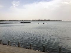 -包头南海湿地景区