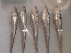 -莆鑫海鲜城(浏河店)