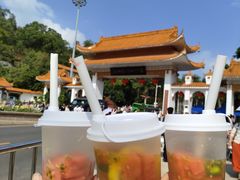 -深圳仙湖植物园