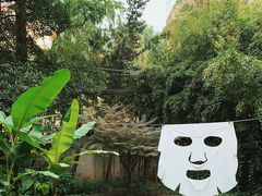 -胶囊画廊
