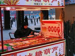 -长春市南湖公园