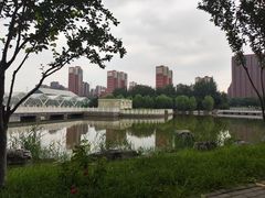 -东升八家郊野公园