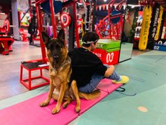 -KingBull私教健身&格斗订制(龙井商业中心店)