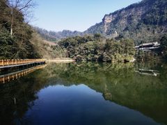 -青城山