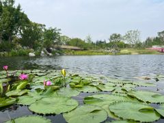 -上海植物园-4号门售票处